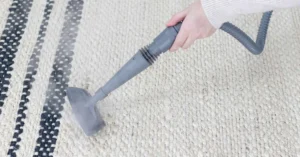 carpet disinfection