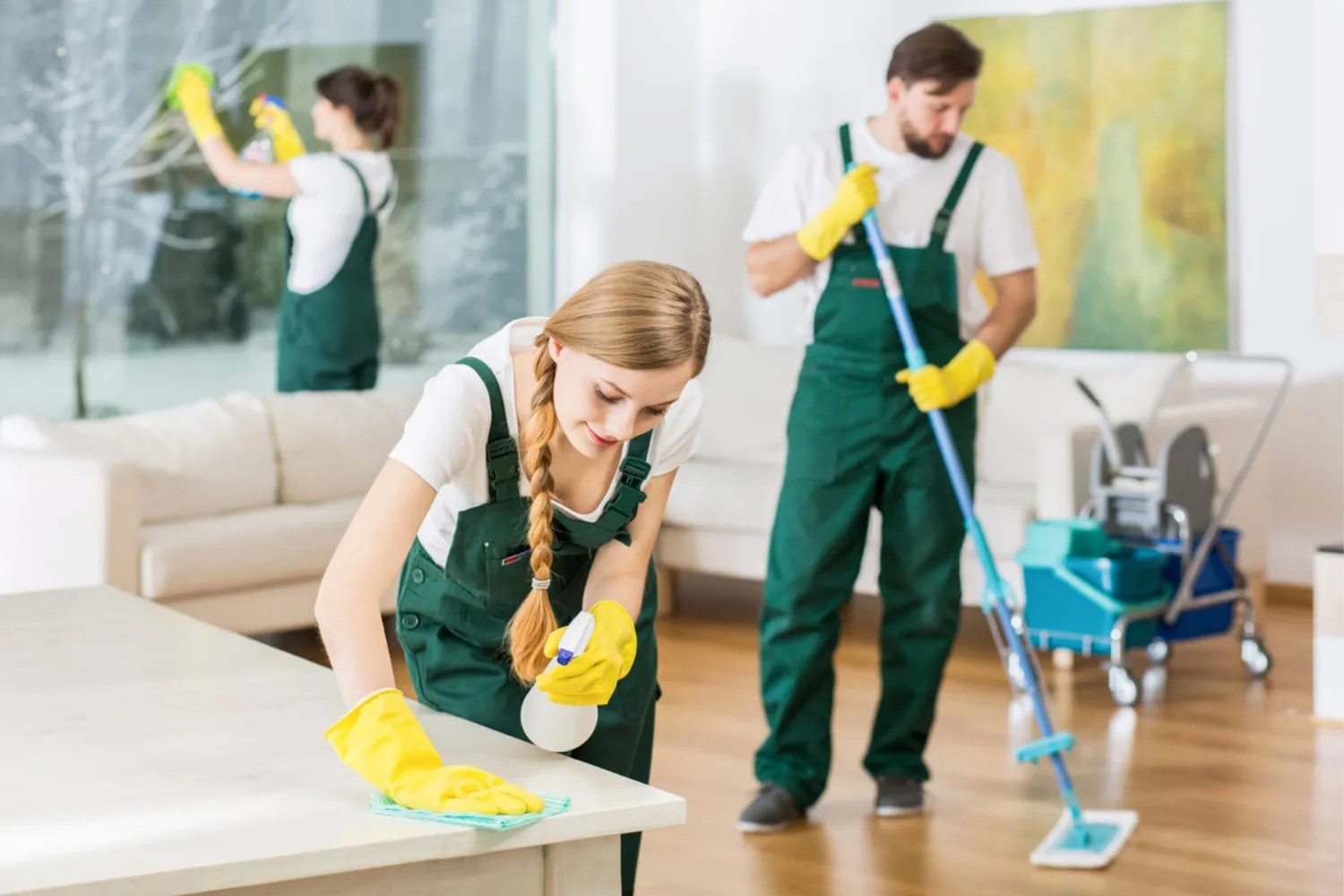 Apartment Cleaning Westchester NY