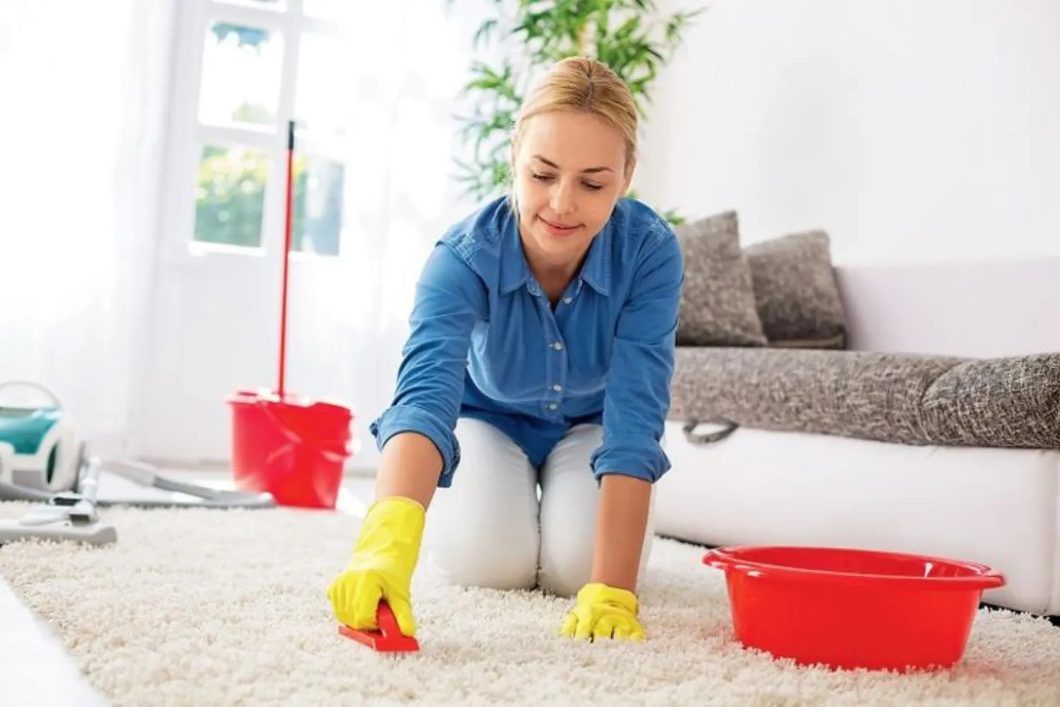 Carpet Cleaning Yonkers NY