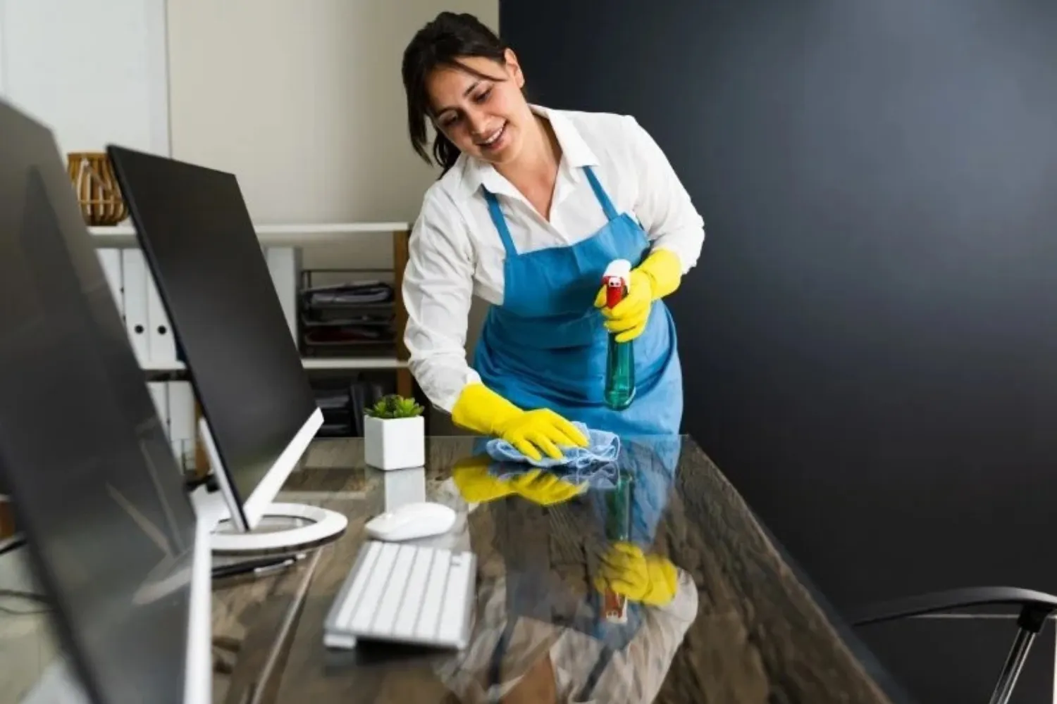 Cleaning Services White Plains NY